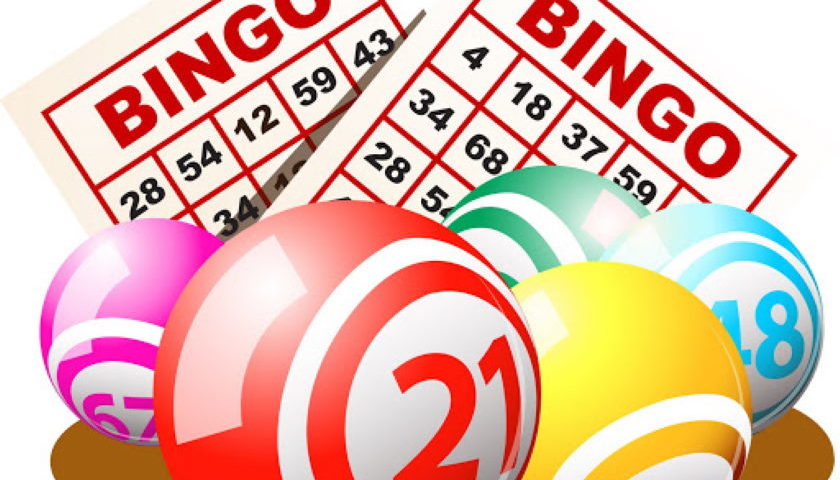 Bingo Popularity Increasing