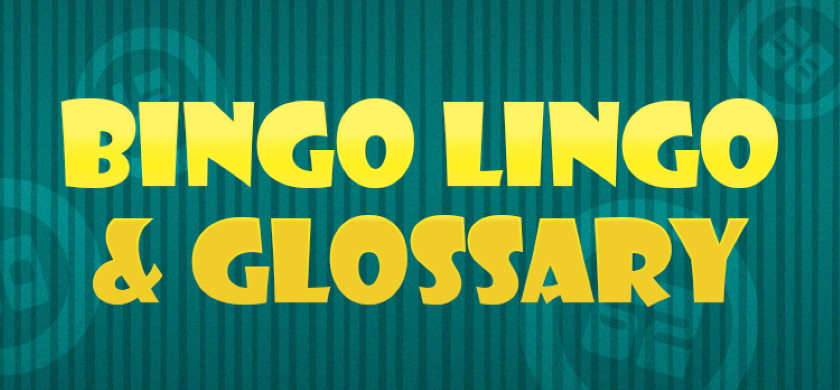 Bingo Lingo and Glossary Guide